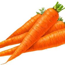 Organic Carrots Bundle