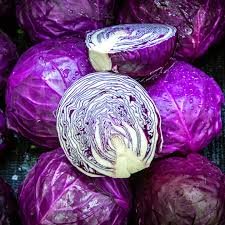 Organic Cabbage