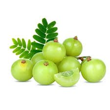 Fresh Amla