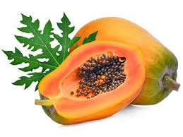Organic Farm Papaya